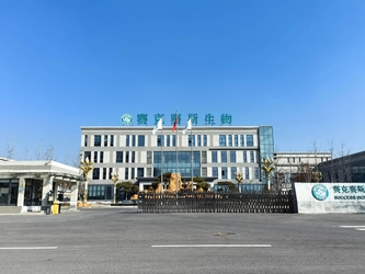 Shandong Saikesaisi Hydrogen Energy Co., Ltd productielijn van de fabrikant