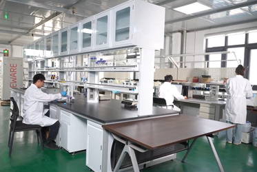 Shandong Saikesaisi Hydrogen Energy Co., Ltd productielijn van de fabrikant