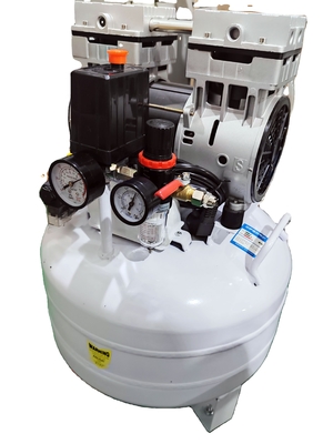 kopen QL-40 White Lab Air Generator met 40LPM 26KG voor laboratorium online vervaardiging